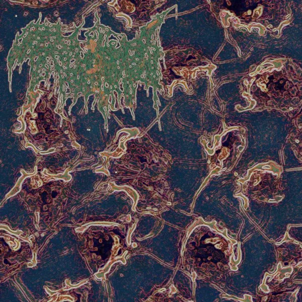 Terminal Inversion cover