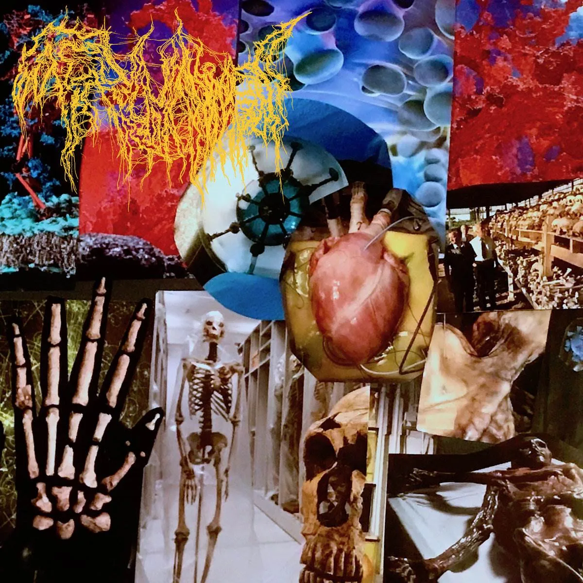 Harvest of the Killing Fields cover