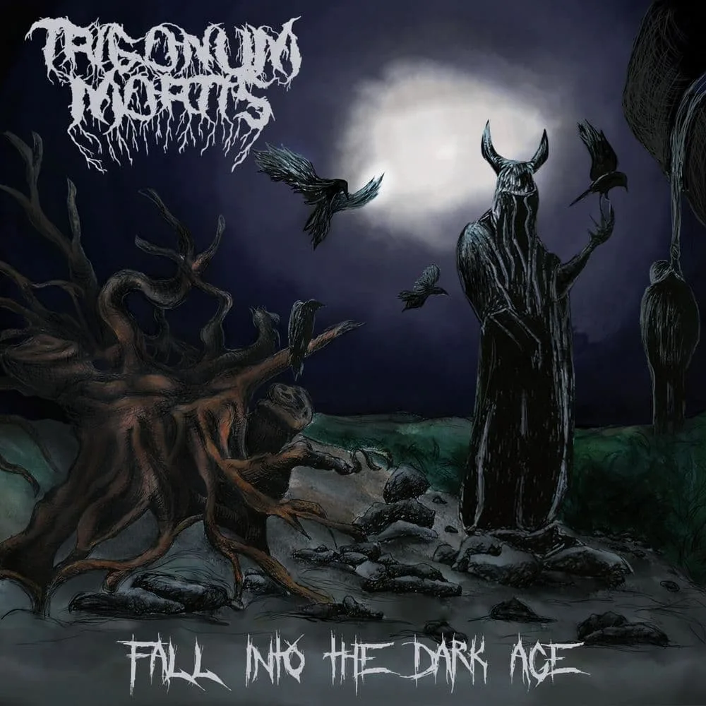 Fall into the Dark Age cover