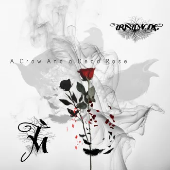 A Crow and a Dead Rose cover