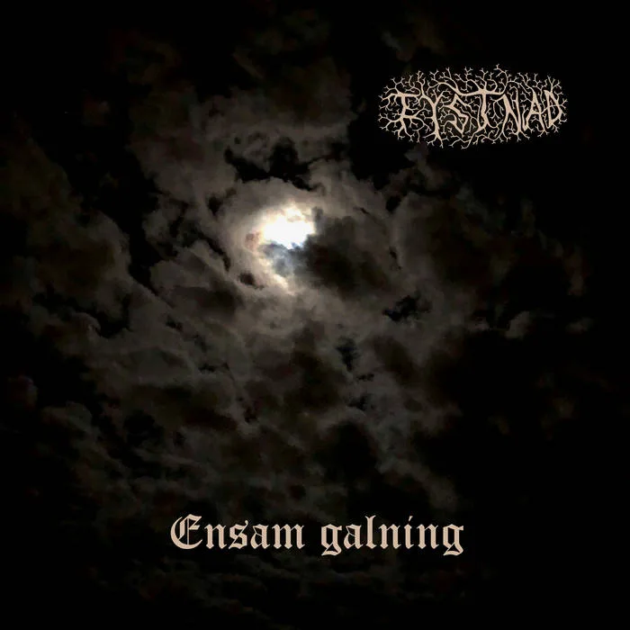 Ensam galning cover