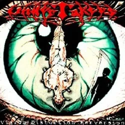 Vision Distortion Perversion cover