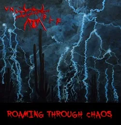 Roaming Through Chaos cover