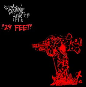29 Feet cover