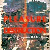 Pleasure of Destruction cover