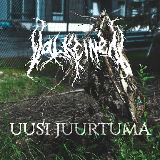 Uusi juurtuma cover
