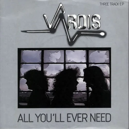 All You'll Ever Need cover