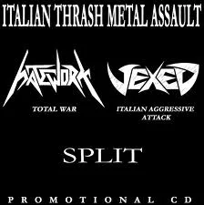 Italian Thrash Metal Assault cover