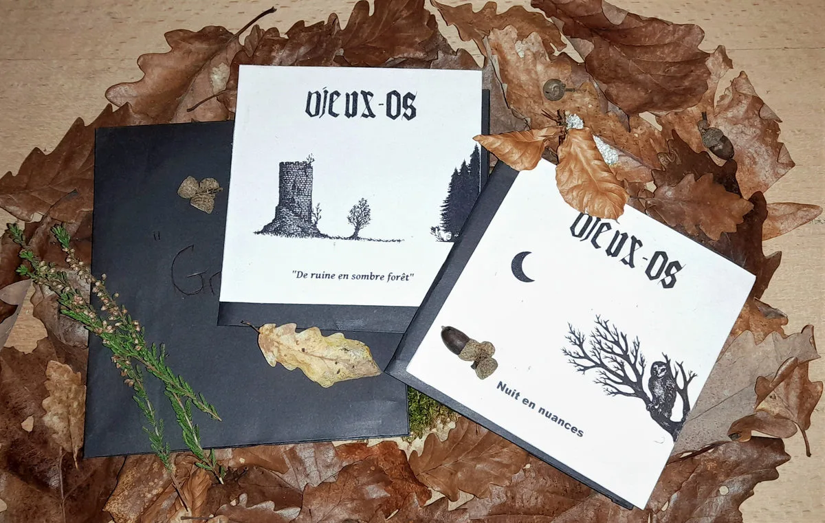 Cycle II - Fragments de nuit cover