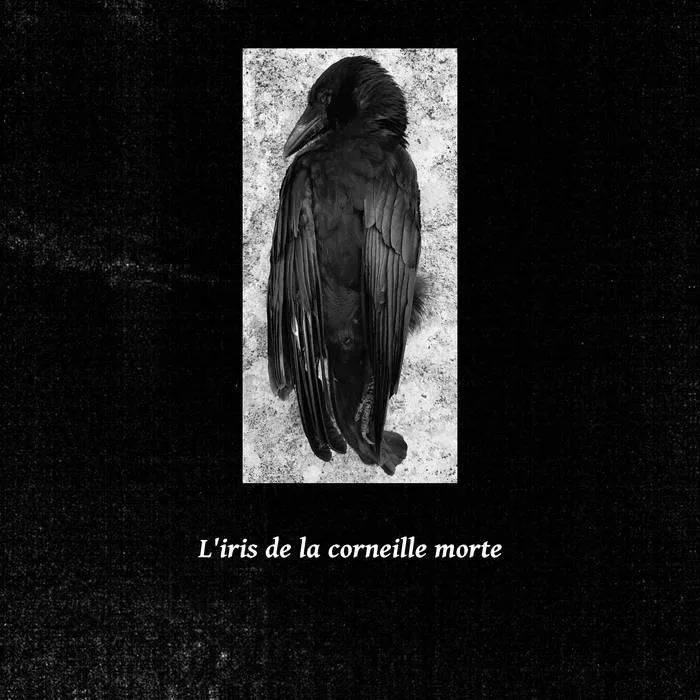 L'iris de la corneille morte cover
