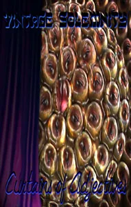 Curtains of Adjectives cover