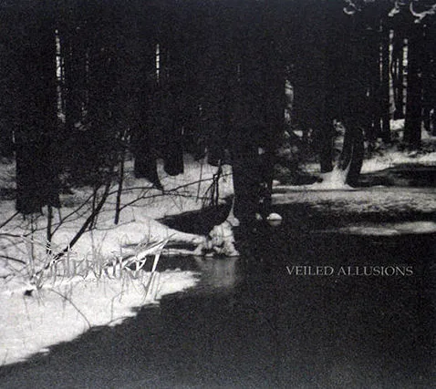 Vinterriket / Veiled Allusions cover