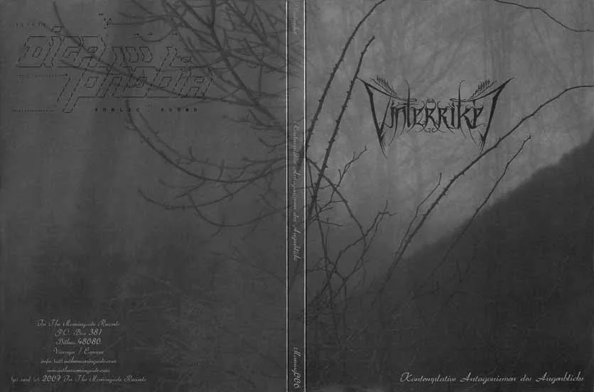 Kontemplative Antagonismen des Augenblicks cover