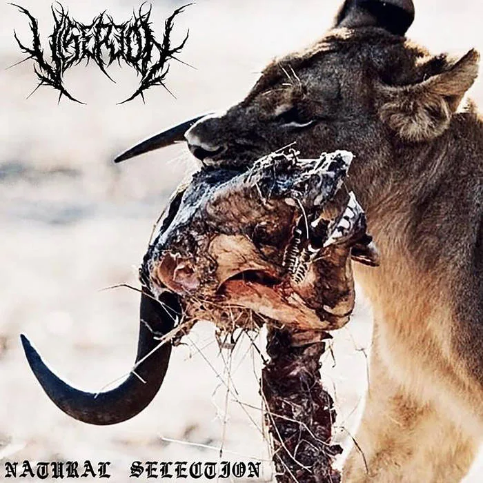 Natural Selection cover