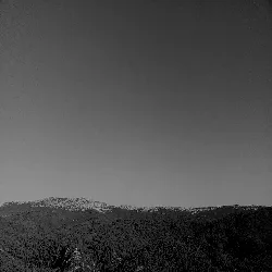 The Eagle's Yoke cover