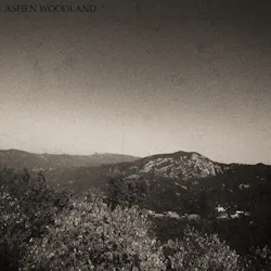 Ashen Woodland cover