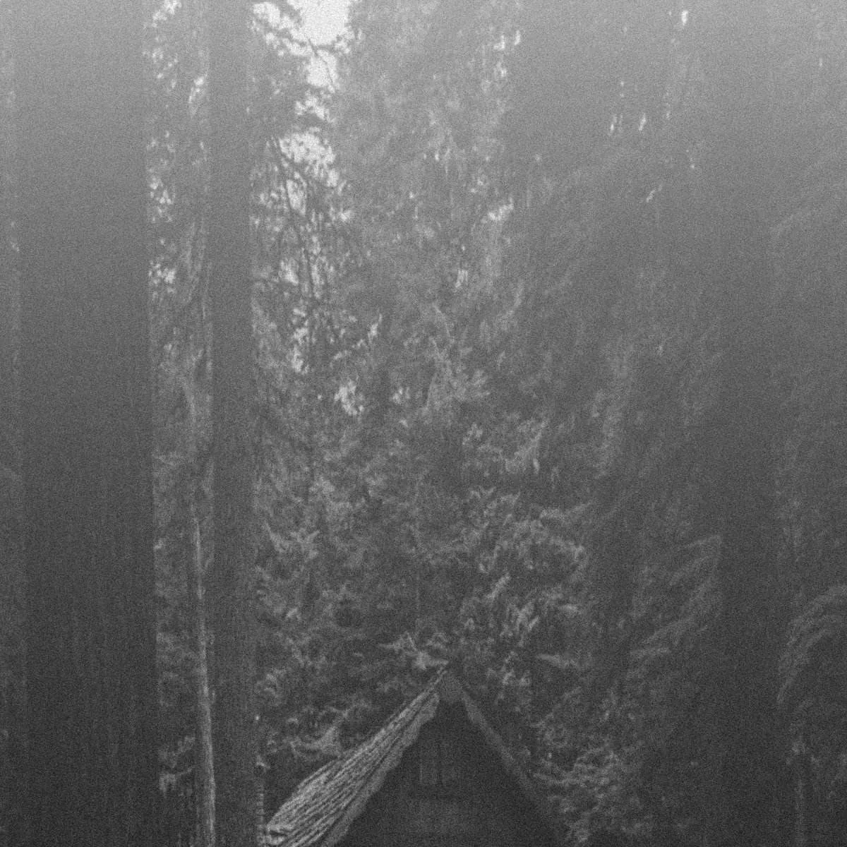 Voivotus / Vintlechkeit cover