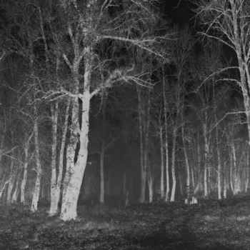 The Malefic Darkness cover
