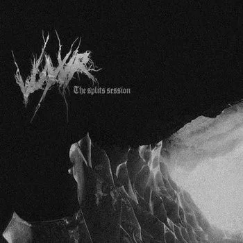 The Splits Session cover