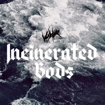 Incinerated Gods cover