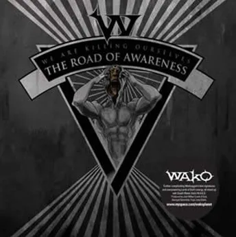 The Road of Awareness cover
