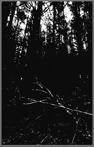 Ritual de entidades ocultas cover