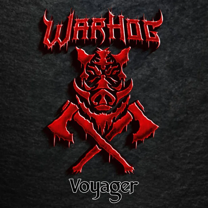 Voyager cover