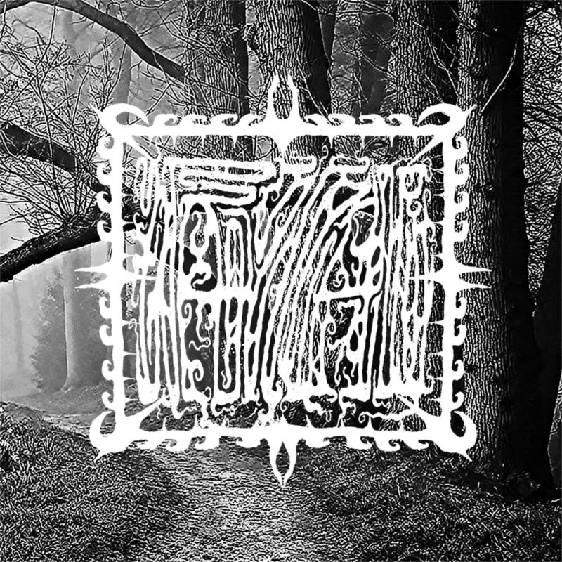 Forests of Ecstasy cover