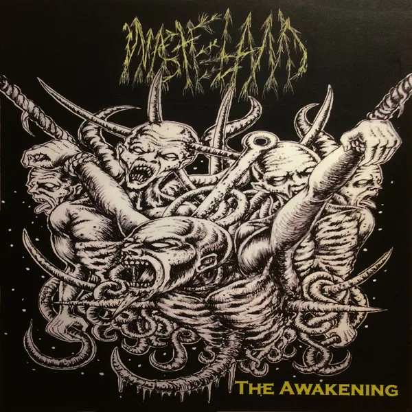 The Awakening cover