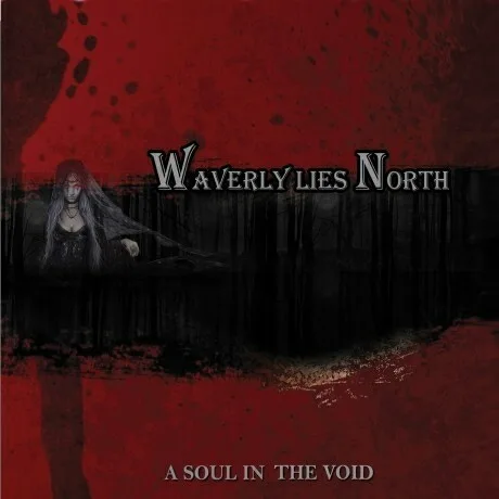 A Soul in the Void cover
