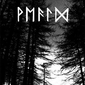 Demo 2011 cover