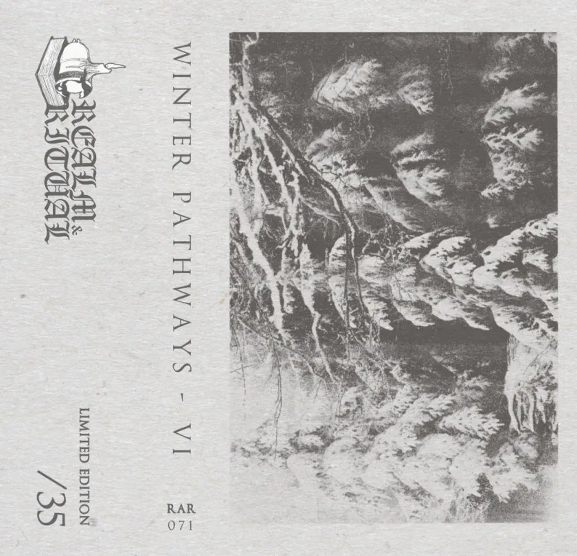 VI cover