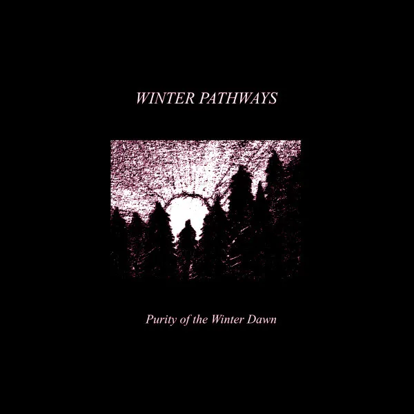 Purity of the Winter Dawn cover