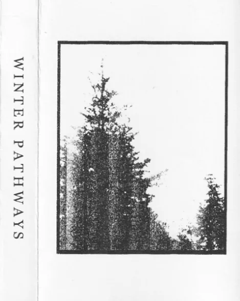Winter Pathways cover