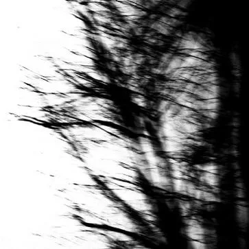 Asthenia / Wither cover