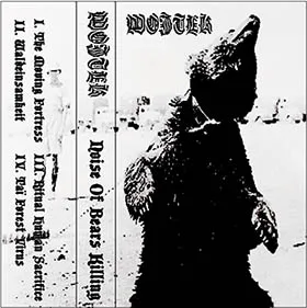Noise of Bears Killing cover