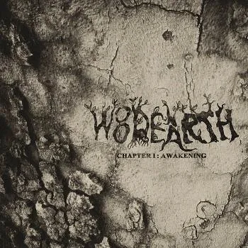 Chapter I: Awakening cover