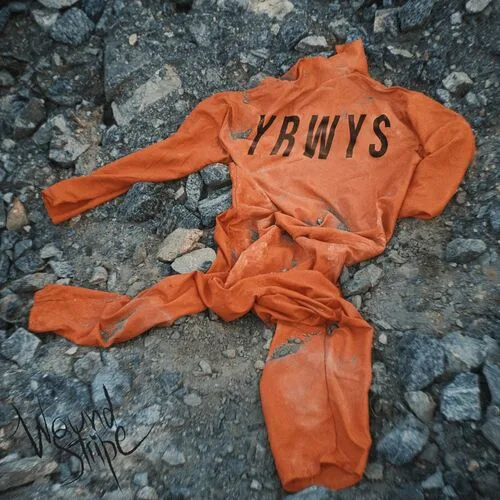 You Reap What You Sow cover