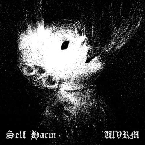 Self Harm x WVRM cover