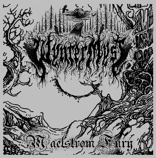 Maelstrom Fury cover