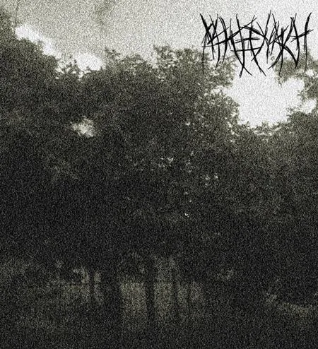 Swamp of Despondency cover