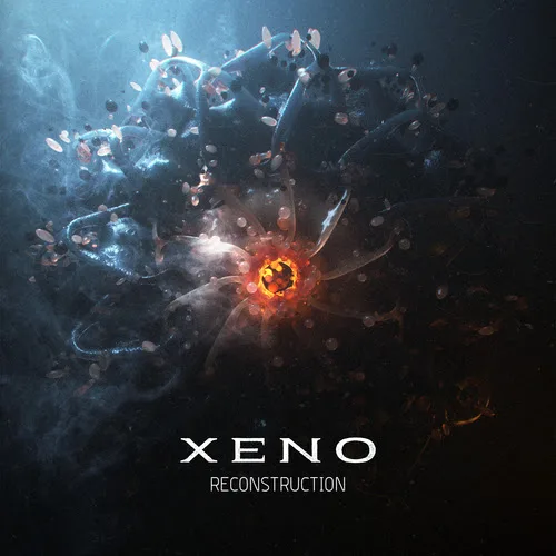 Reconstruction cover