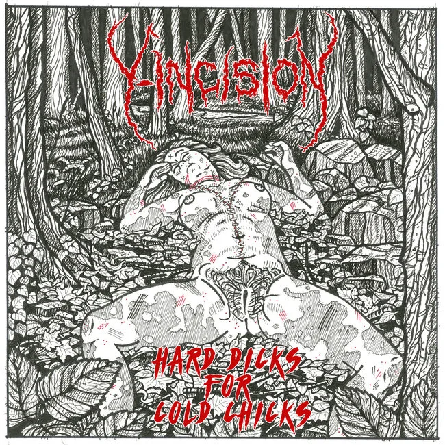 Hard Dicks for Cold Chicks cover