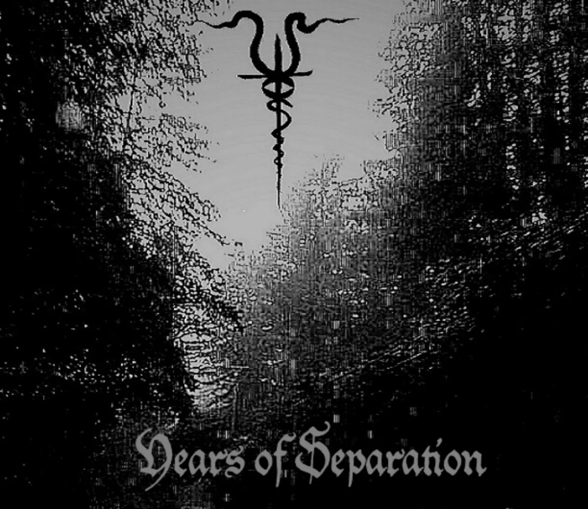 The Trail of Blood That Is My Past cover