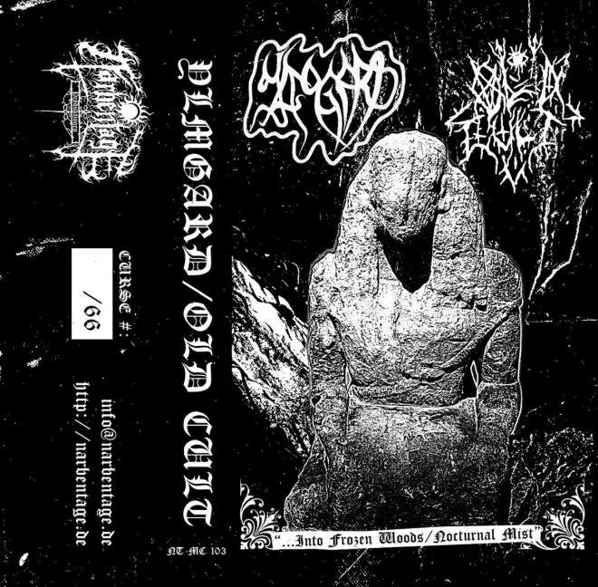 ...into Frozen Woods / Nocturnal Mist cover