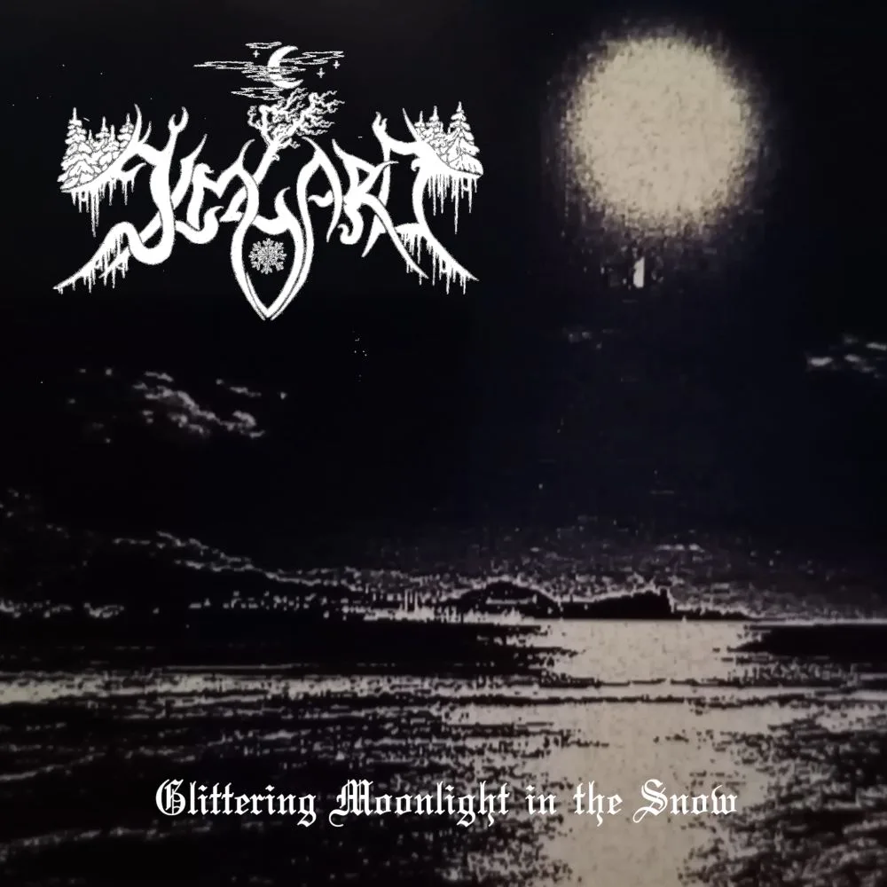 Glittering Moonlight in the Snow cover