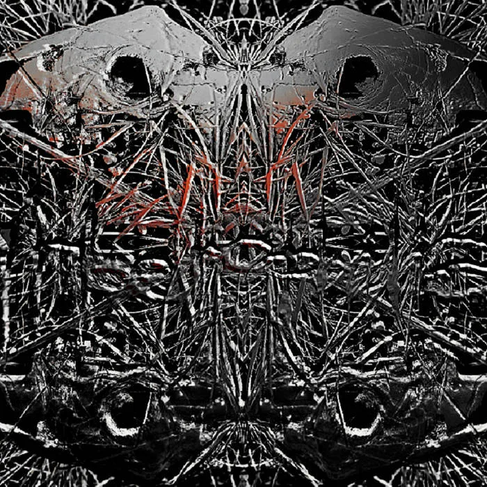 Non infirma cover