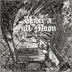 Down the Stream cover