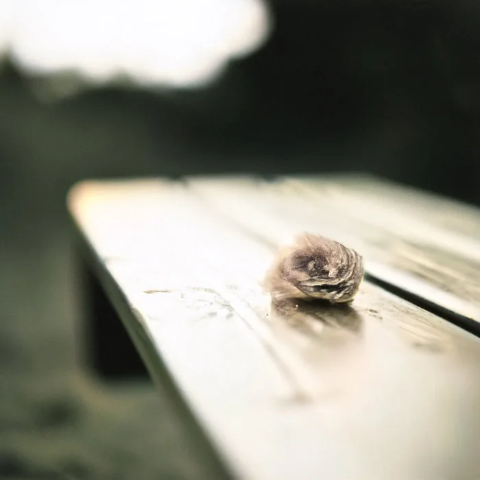 A Song for Her cover