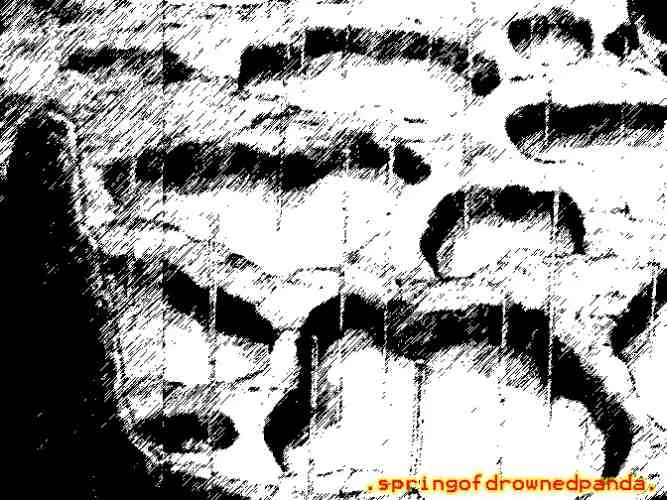 .springofdrownedpanda. cover